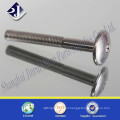 Stainless steel hexagonal socket screw Made in China